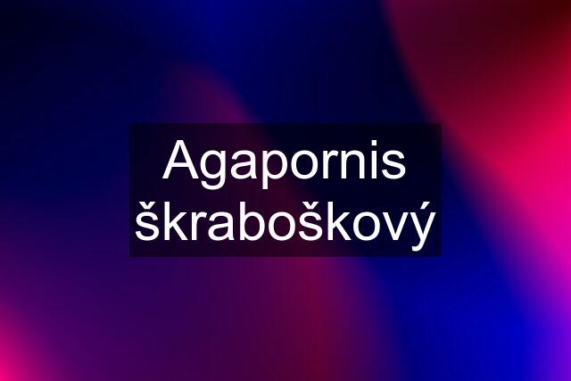 Agapornis škraboškový