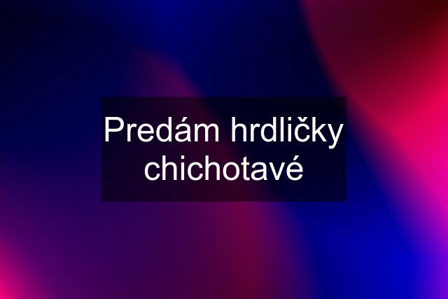 Predám hrdličky chichotavé