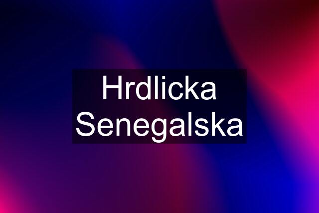 Hrdlicka Senegalska