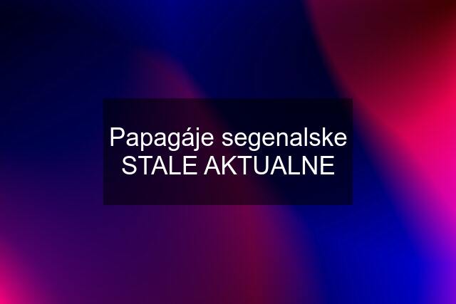 Papagáje segenalske STALE AKTUALNE