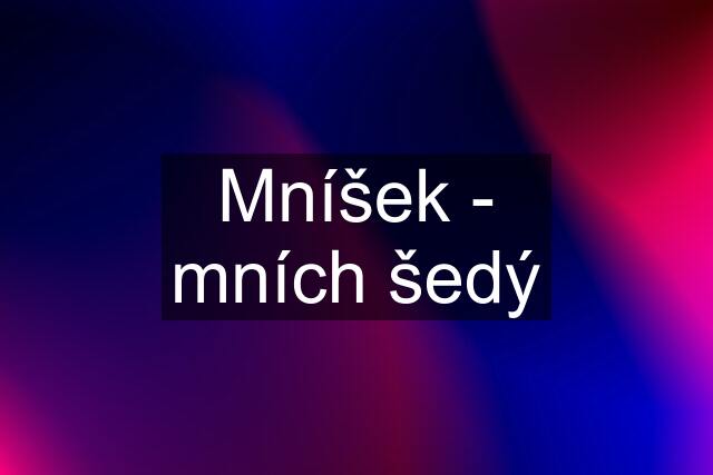 Mníšek - mních šedý