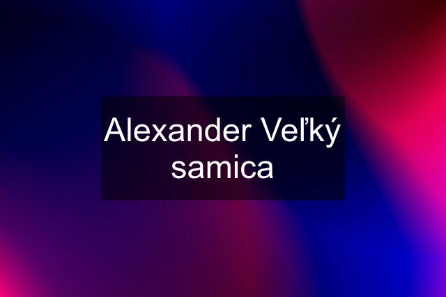 Alexander Veľký samica