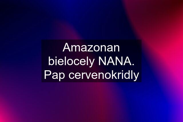 Amazonan bielocely NANA. Pap cervenokridly