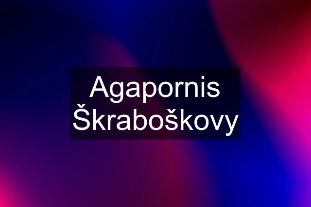 Agapornis Škraboškovy