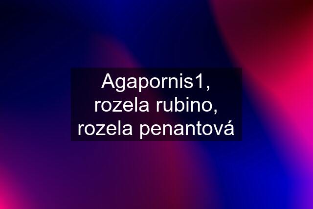 Agapornis1, rozela rubino, rozela penantová