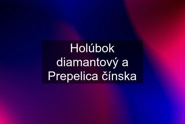 Holúbok diamantový a Prepelica čínska