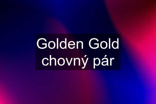 Golden Gold chovný pár