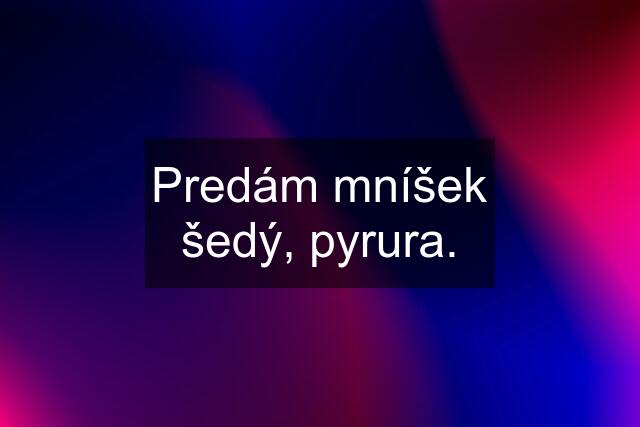 Predám mníšek šedý, pyrura.