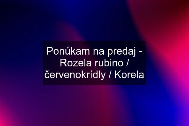 Ponúkam na predaj - Rozela rubino / červenokrídly / Korela