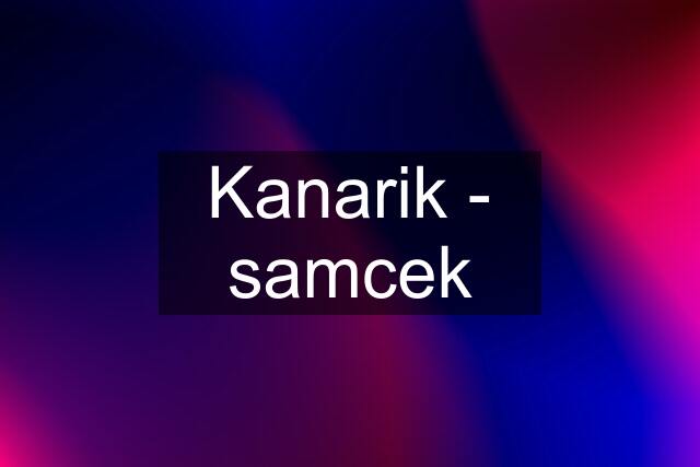 Kanarik - samcek