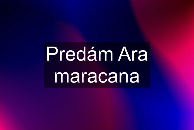 Predám Ara maracana