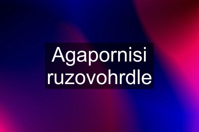 Agapornisi ruzovohrdle