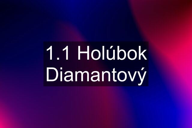 1.1 Holúbok Diamantový