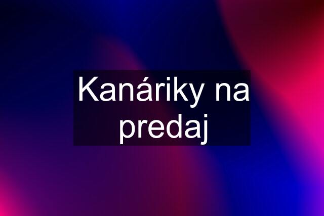 Kanáriky na predaj