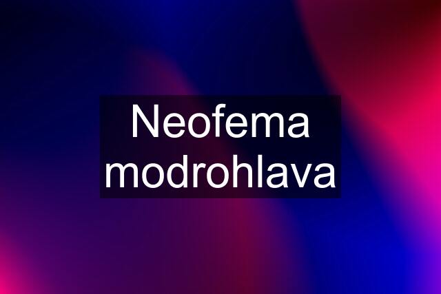 Neofema modrohlava