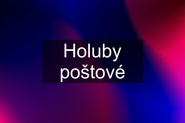 Holuby poštové