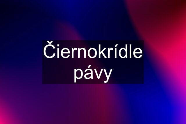 Čiernokrídle pávy