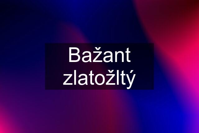 Bažant zlatožltý