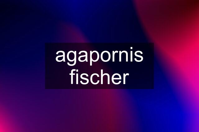 agapornis fischer