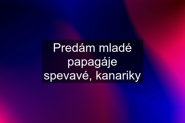 Predám mladé papagáje spevavé, kanariky