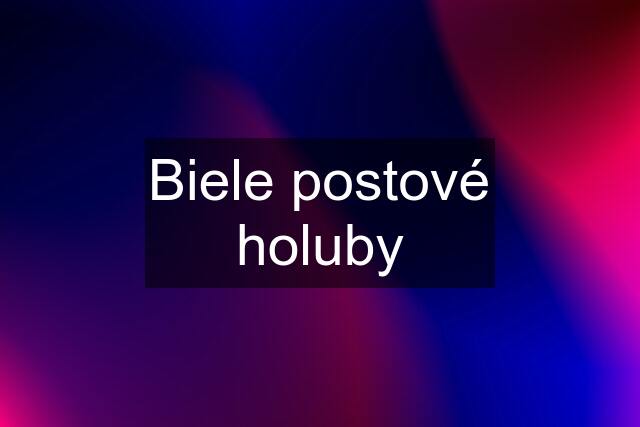 Biele postové holuby