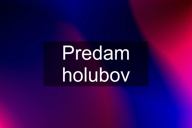 Predam holubov