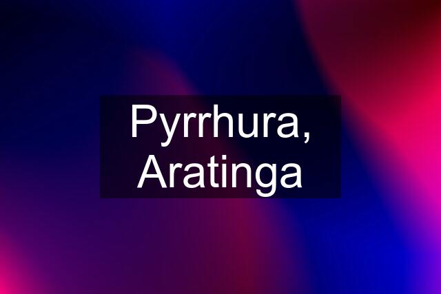 Pyrrhura, Aratinga