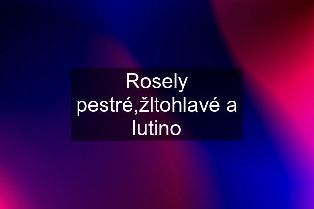 Rosely pestré,žltohlavé a lutino