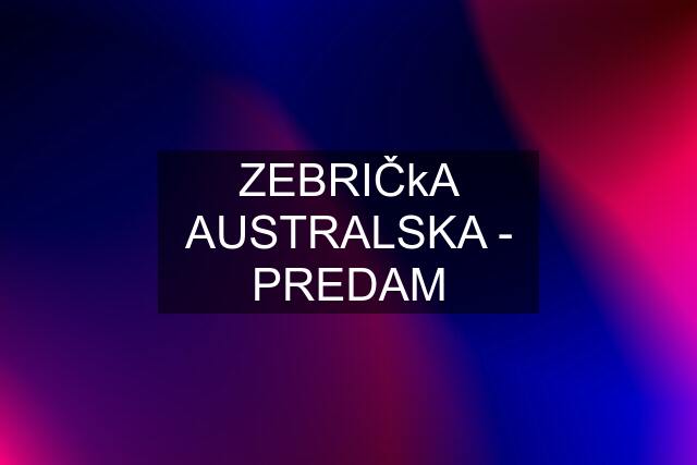 ZEBRIČkA AUSTRALSKA - PREDAM