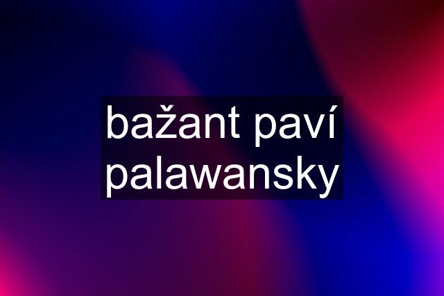 bažant paví palawansky