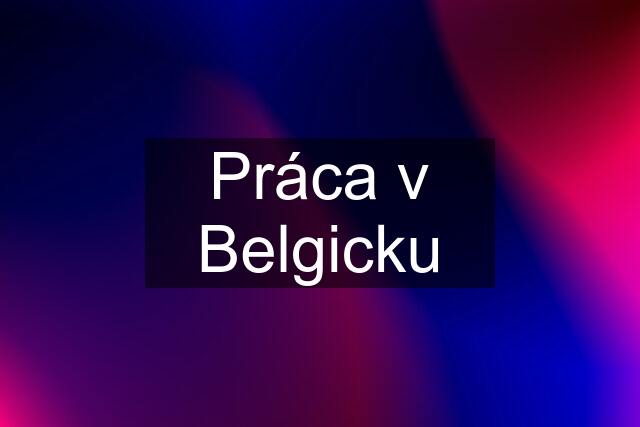 Práca v Belgicku