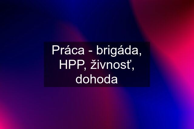 Práca - brigáda, HPP, živnosť, dohoda