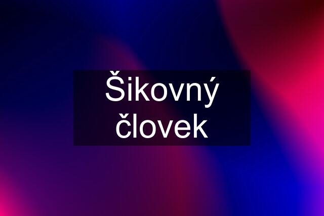 Šikovný človek