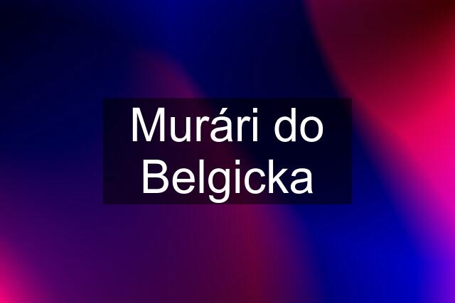 Murári do Belgicka