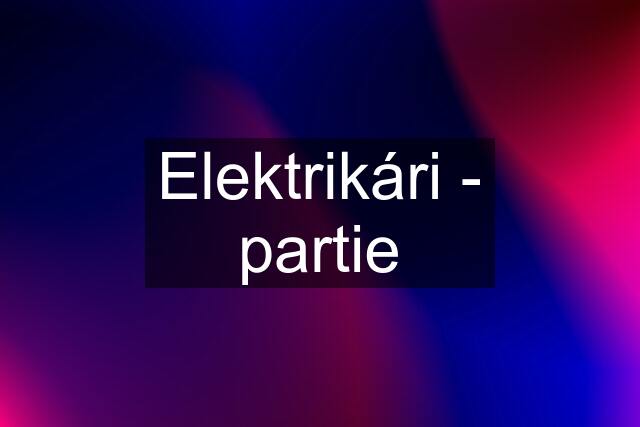 Elektrikári - partie