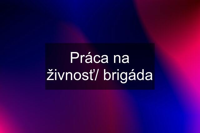 Práca na živnosť/ brigáda