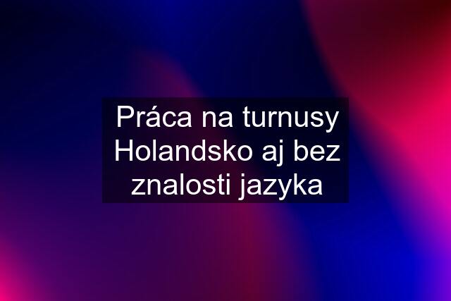 Práca na turnusy Holandsko aj bez znalosti jazyka