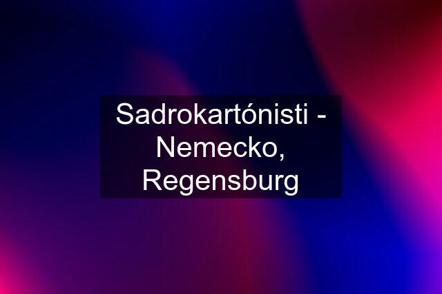 Sadrokartónisti - Nemecko, Regensburg