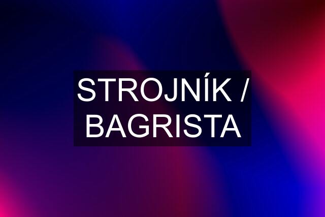 STROJNÍK / BAGRISTA