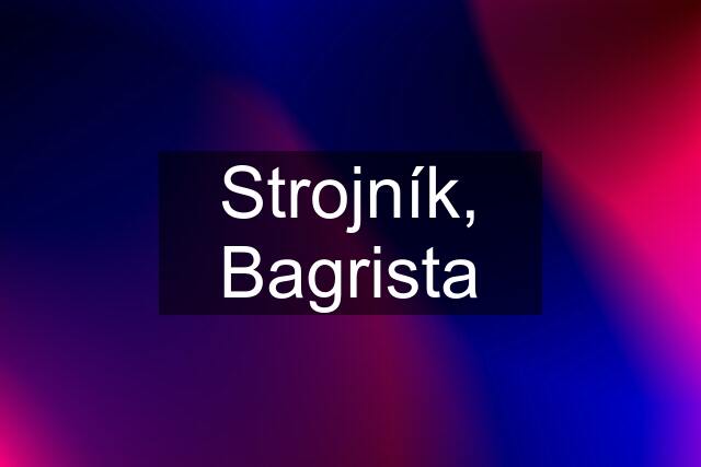 Strojník, Bagrista