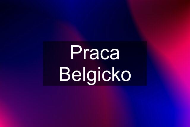 Praca Belgicko