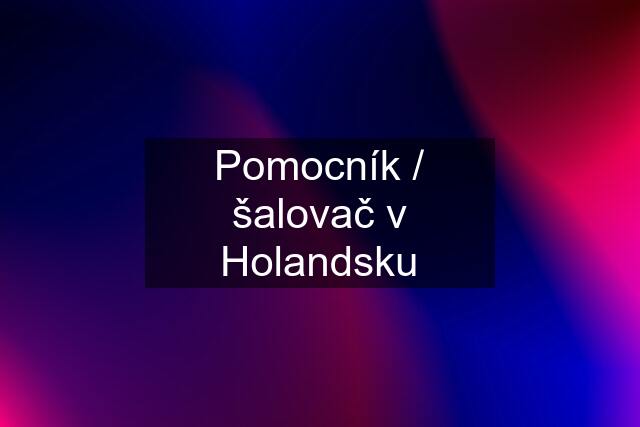 Pomocník / šalovač v Holandsku