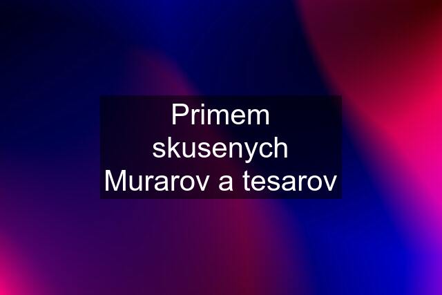 Primem skusenych Murarov a tesarov