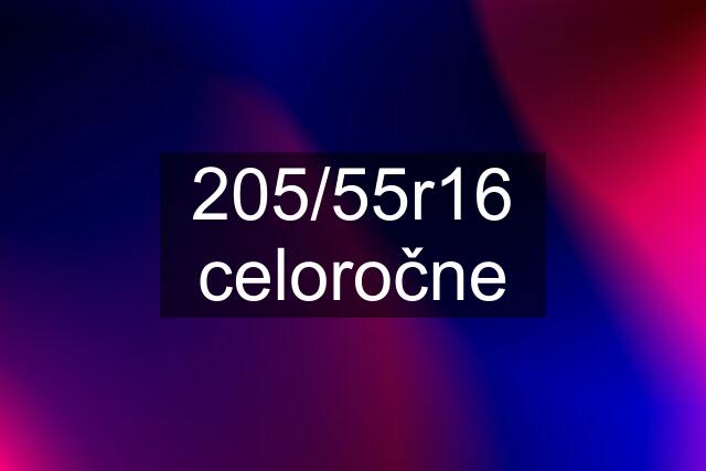 205/55r16 celoročne