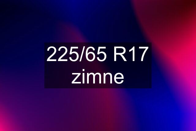 225/65 R17 zimne