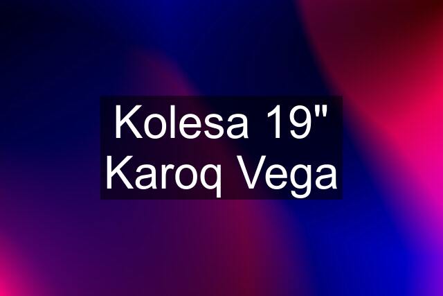 Kolesa 19" Karoq Vega