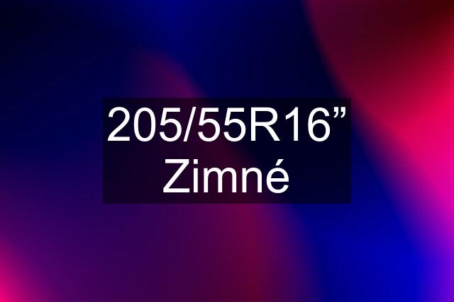 205/55R16” Zimné