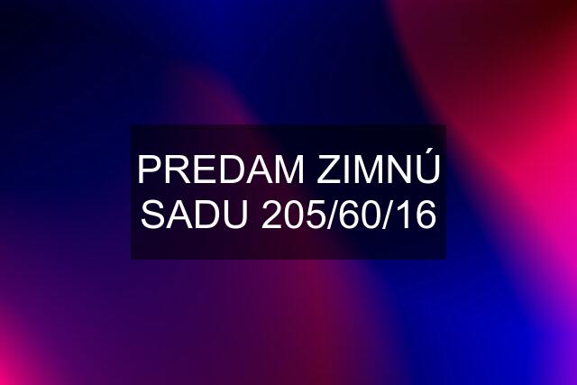 PREDAM ZIMNÚ SADU 205/60/16