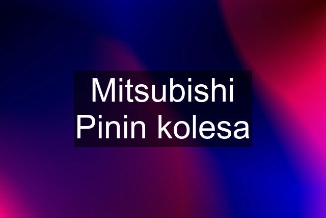 Mitsubishi Pinin kolesa