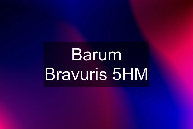 Barum Bravuris 5HM